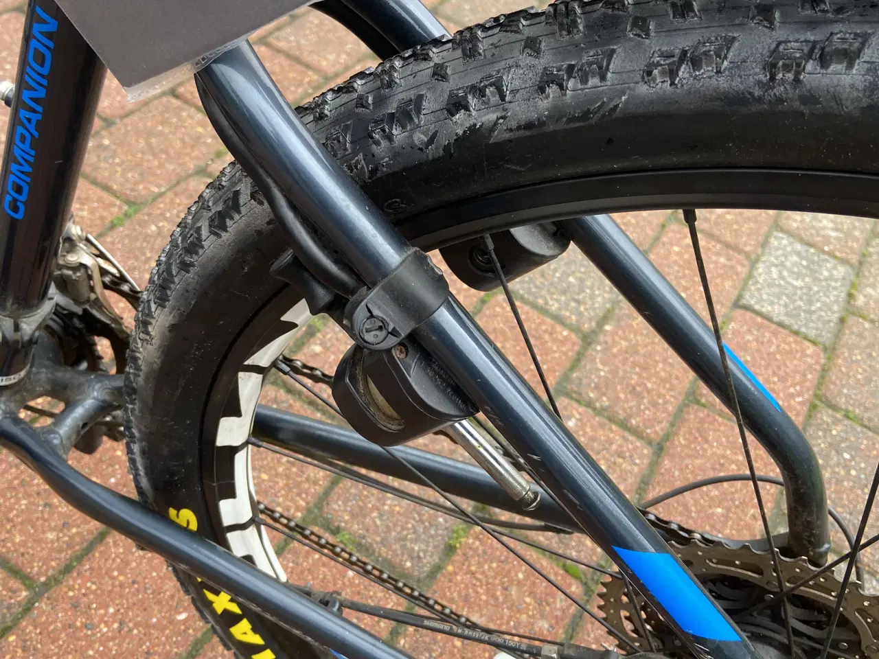 Billede 5 - MTB 29" Companion 1.0 Medium