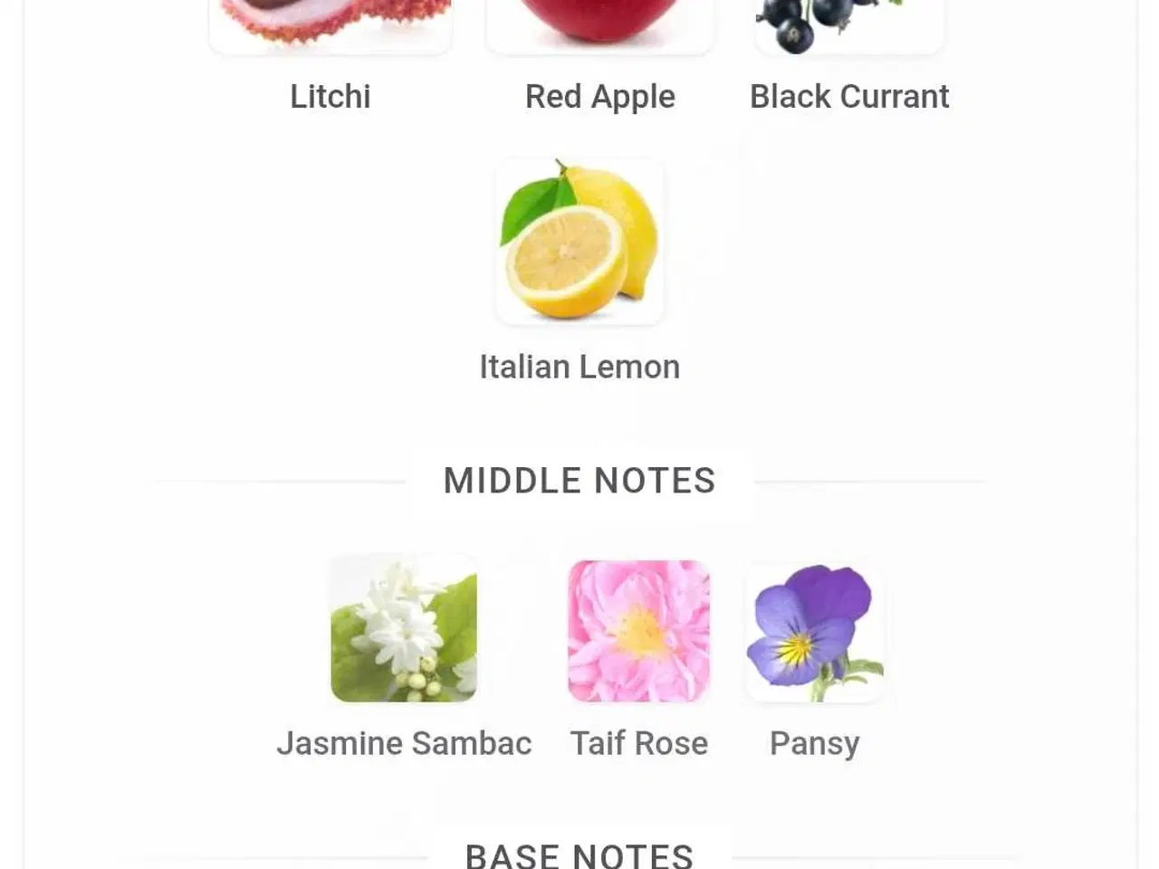 Billede 3 - Khair Fusion - Paris Corner - 5 ml.