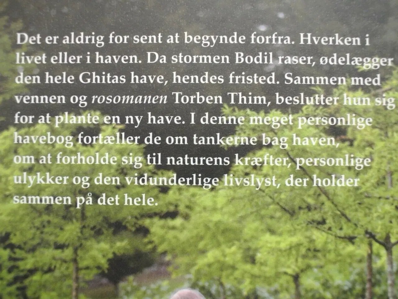 Billede 3 - det er aldrig for sent, af ghita nørby og torben t