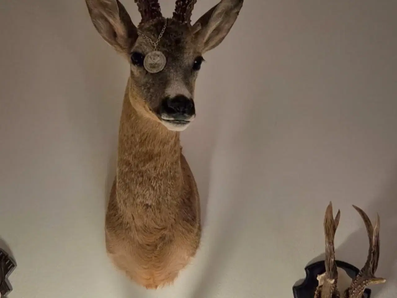 Billede 3 - Bukkeopsats. Skulder monteret sommerbuk 