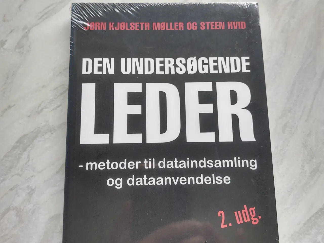 Billede 1 - Den undersøgende leder 