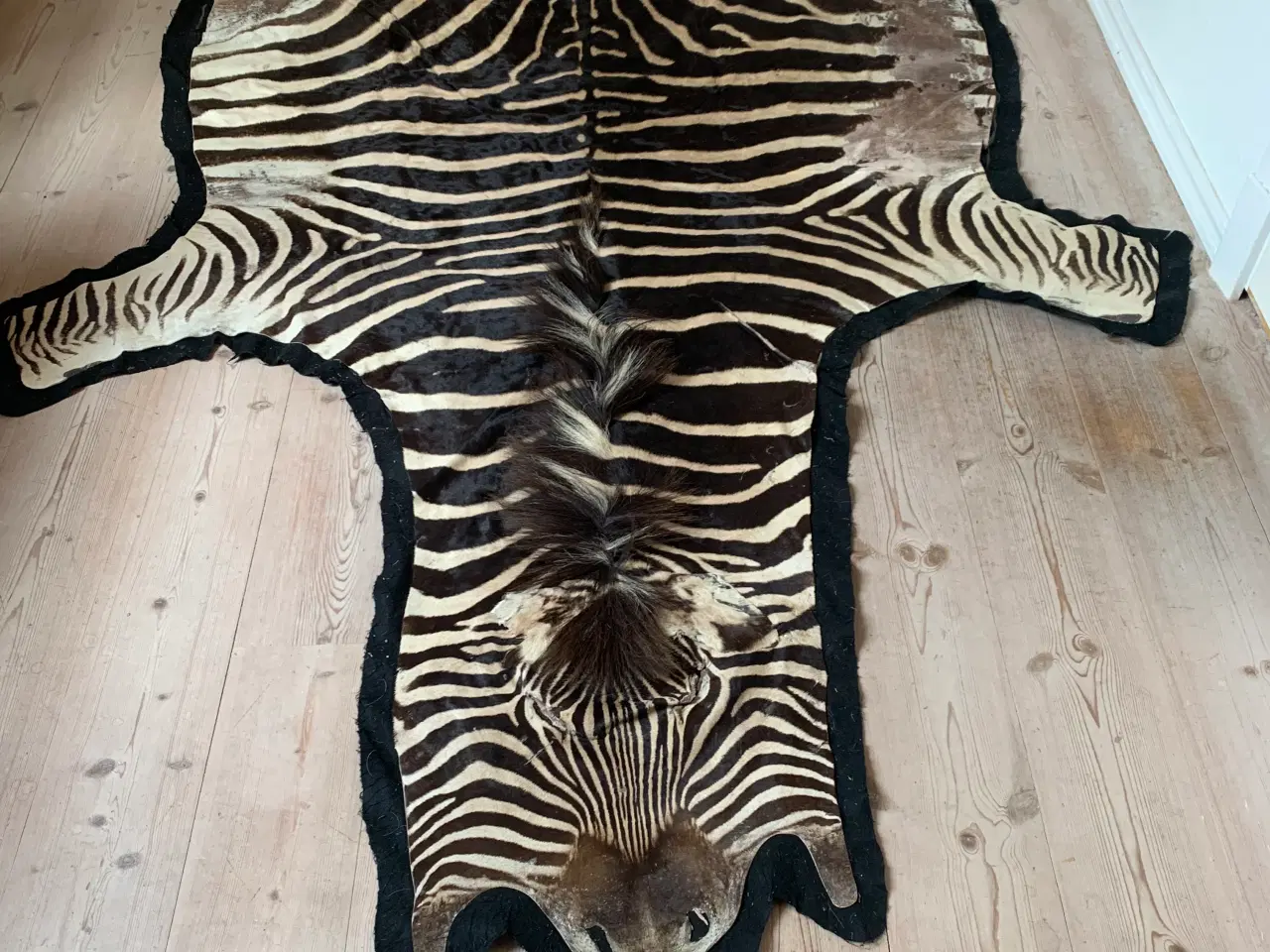 Billede 1 - Fint Zebraskind