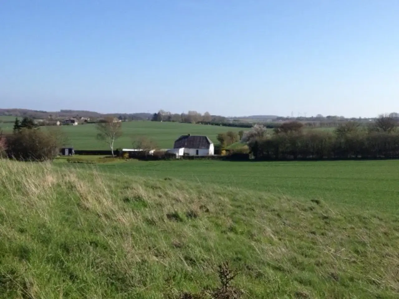 Billede 3 - Feriehus en lille oase midt i den fynske natur.