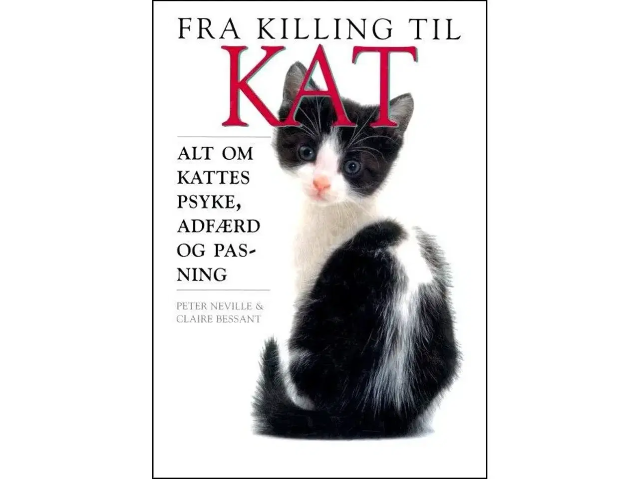 Billede 1 - Fra Killing til Kat