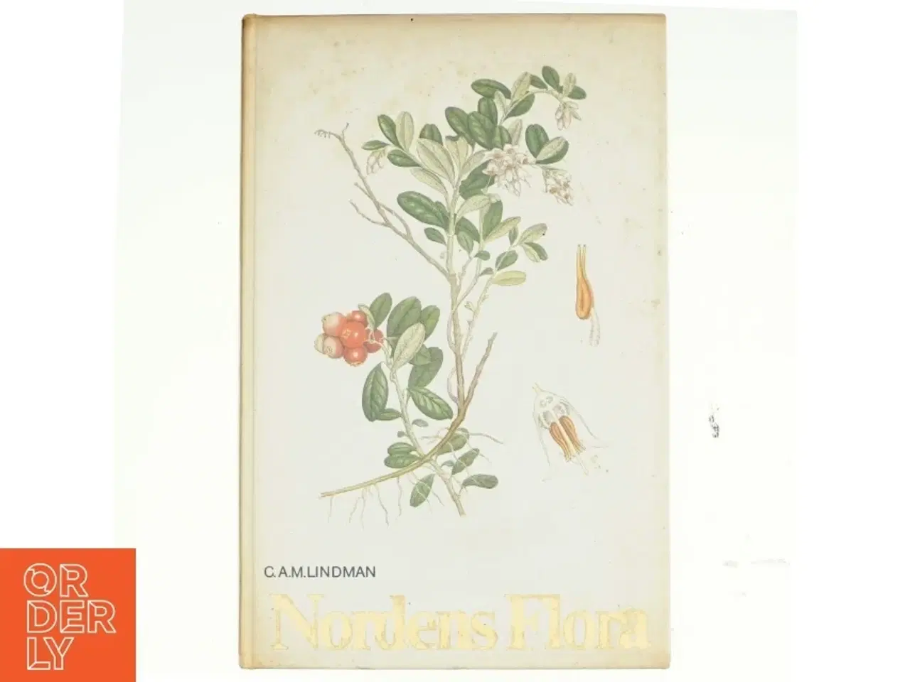 Billede 1 - Nordes flora af Lindman