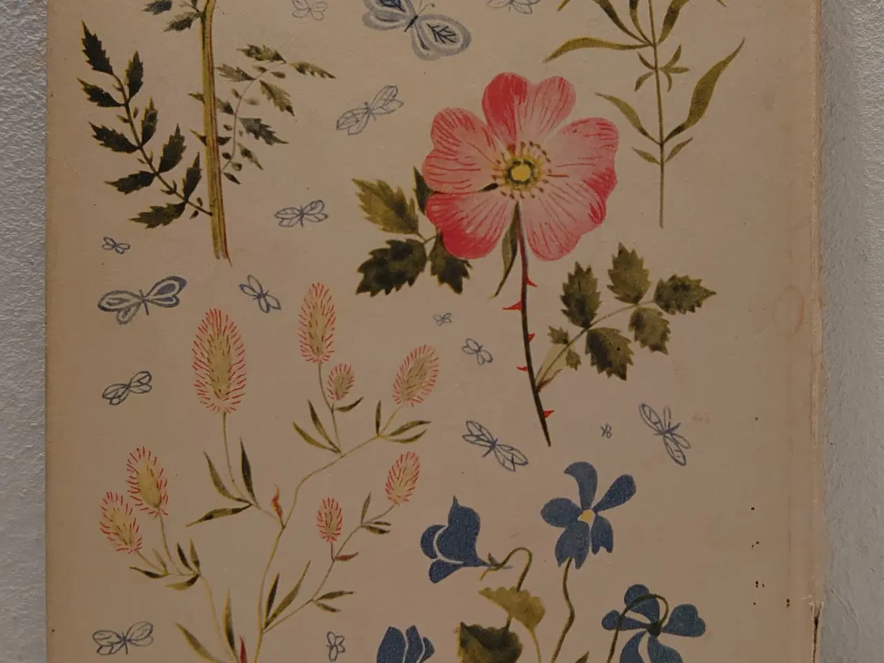 Billede 2 - Harriet Hjorth:Min første blomsterbog. 1.udg.1954