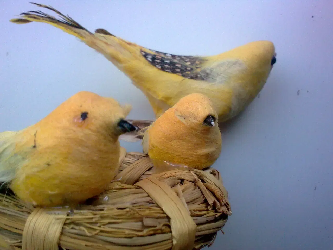 Billede 8 - Hønemor med barnevogn og kyllinger i FIGUR GUL