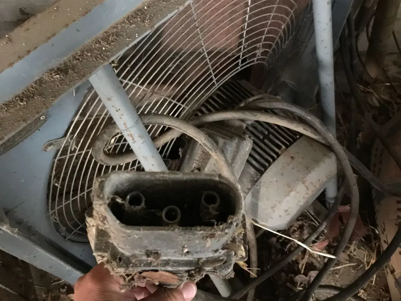 Billede 3 - Korn blæser