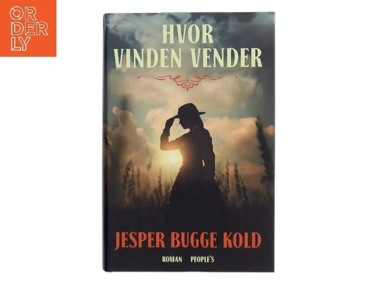 Billede 1 - Hvor vinden vender : roman (Læsekredssæt) af Jesper Bugge Kold (Bog)