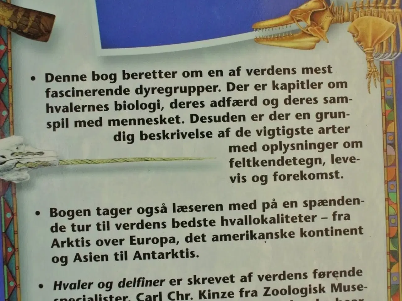 Billede 3 - hvaler og delfiner fra hele verden, af marc carwar
