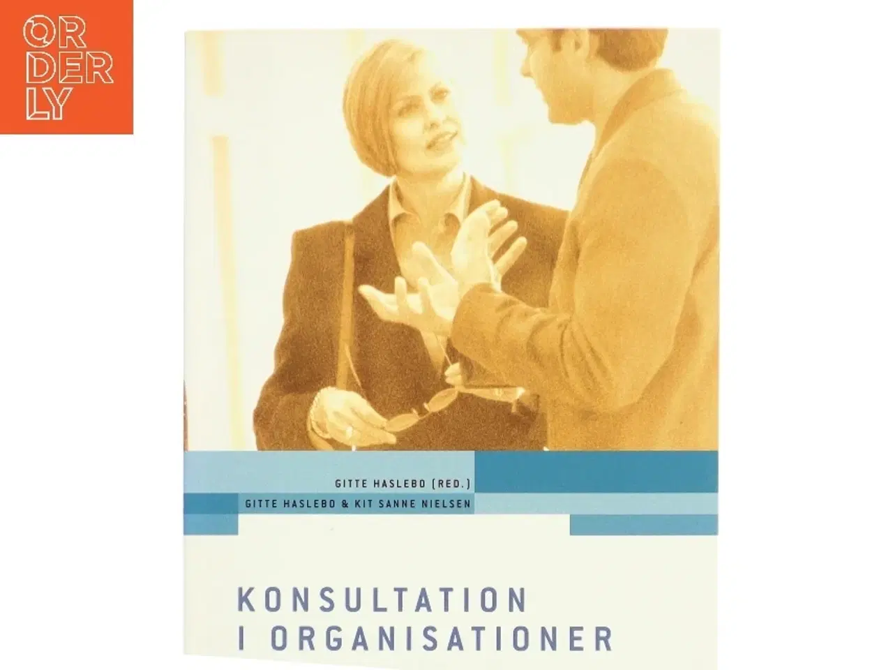 Billede 1 - Konsultation i organisationer : hvordan mennesker skaber ny mening (Bog)