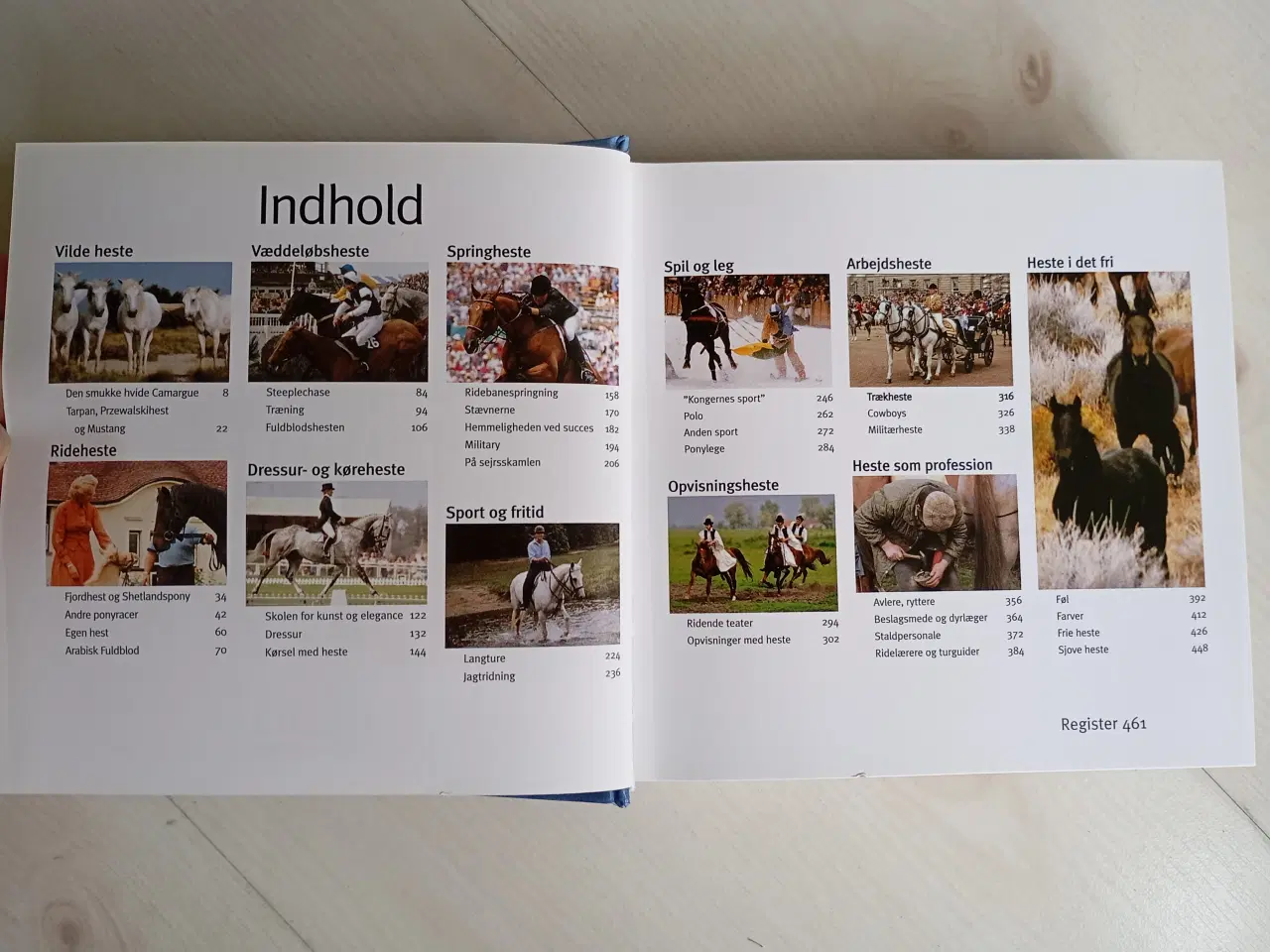 Billede 4 - Heste 1001 Fotos