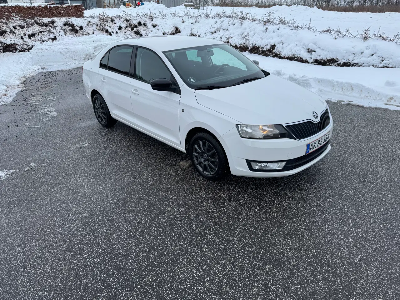 Billede 4 - Nysynet og nyserviceret 