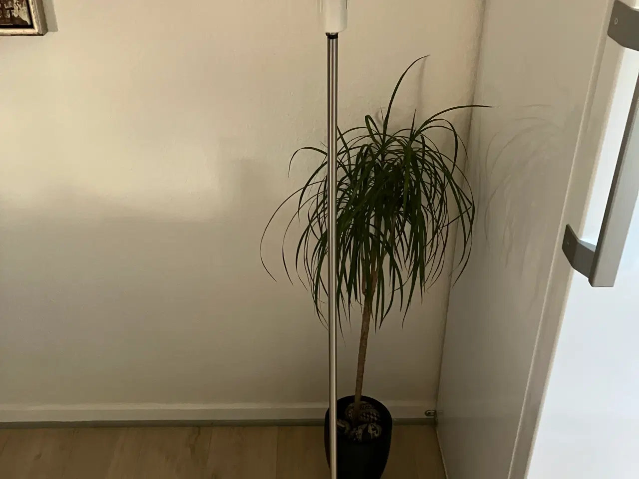 Billede 1 - Standard Lampe