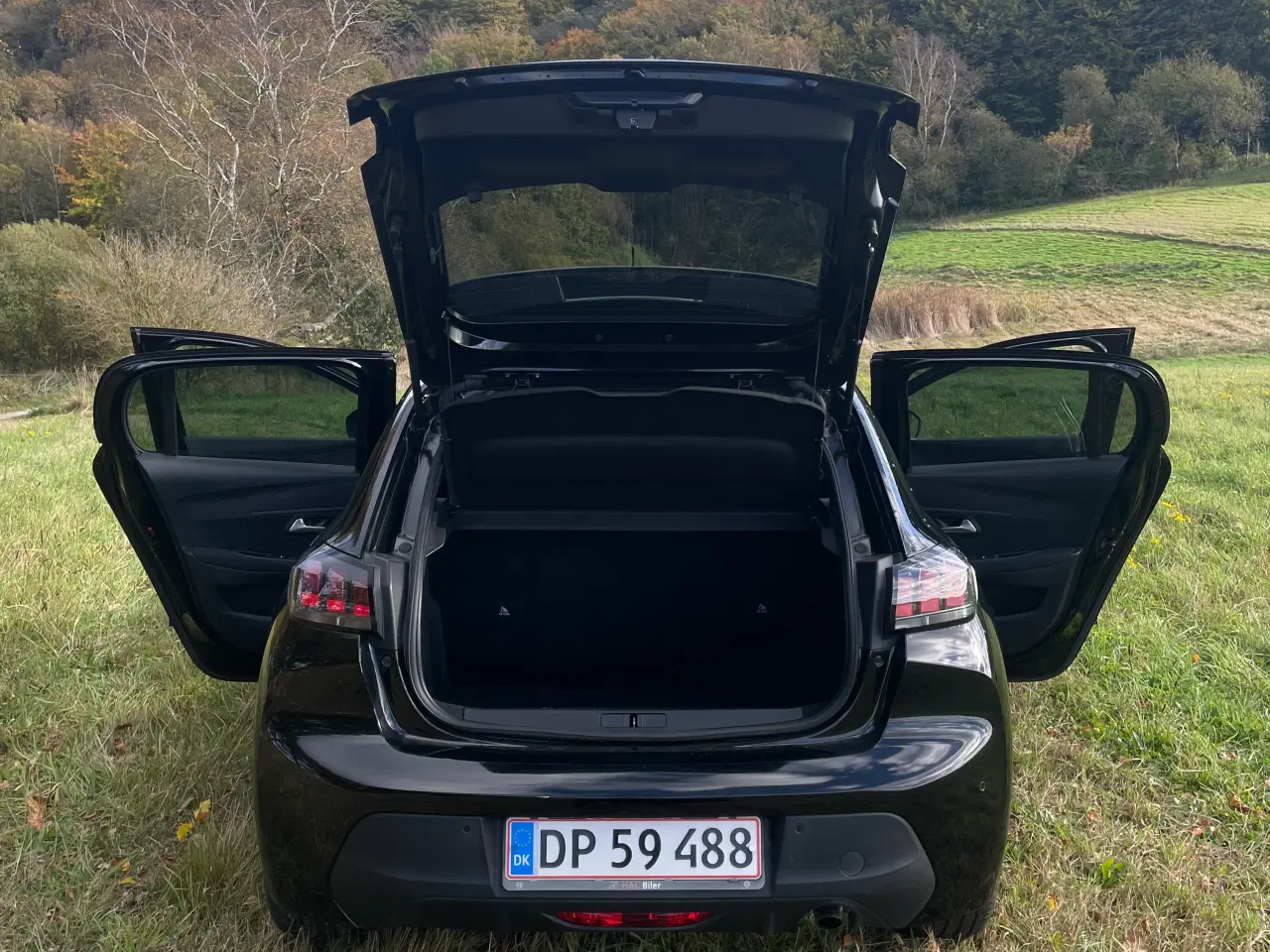 Billede 2 - Peugeot 208 - årstal: 2021