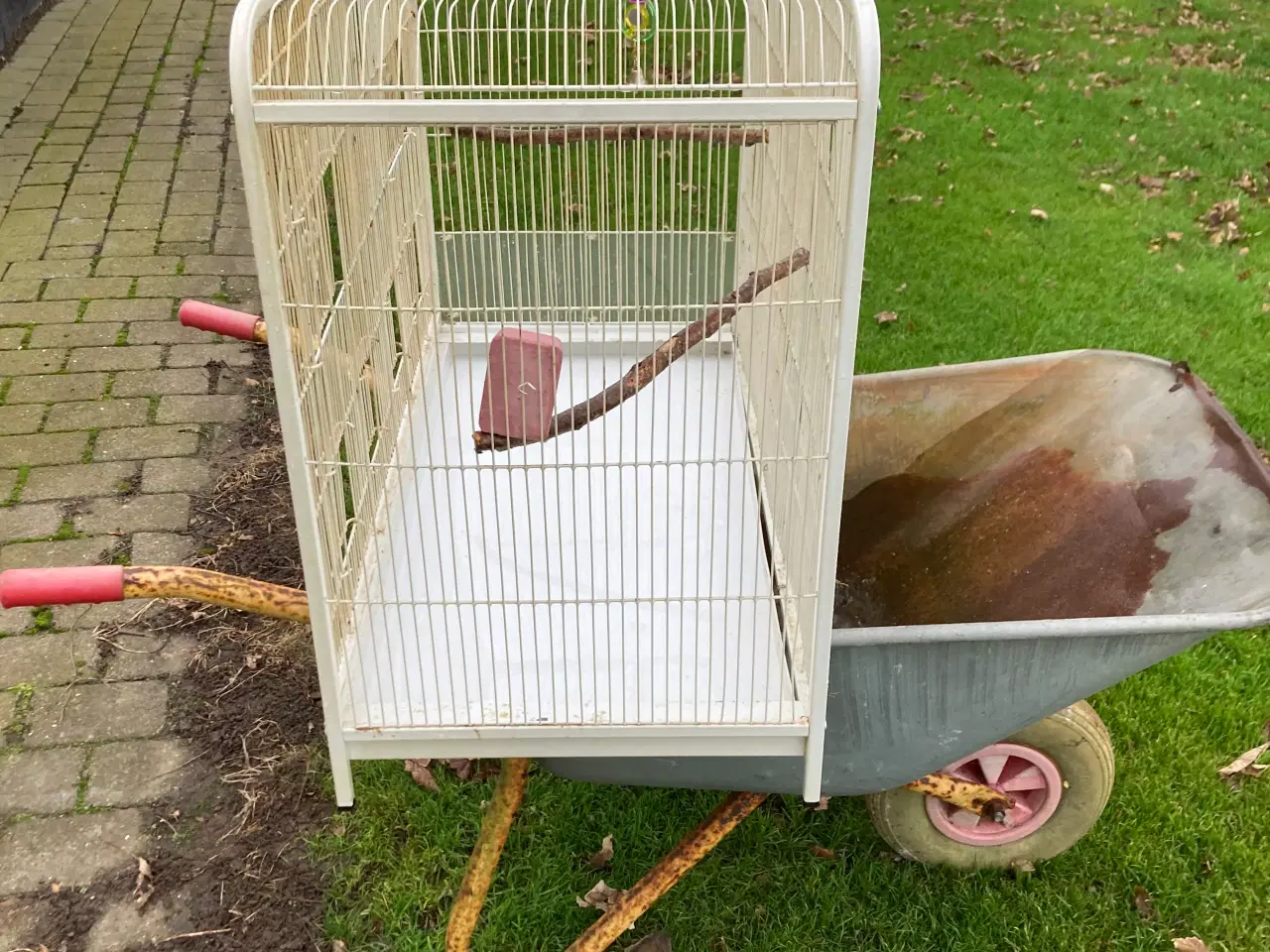 Billede 2 - God stor bur til Parekitter 45-70-80