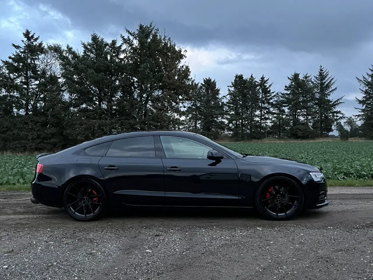 Billede 2 - Audi A5 3.0 TDI 204HK Multitronic 2013