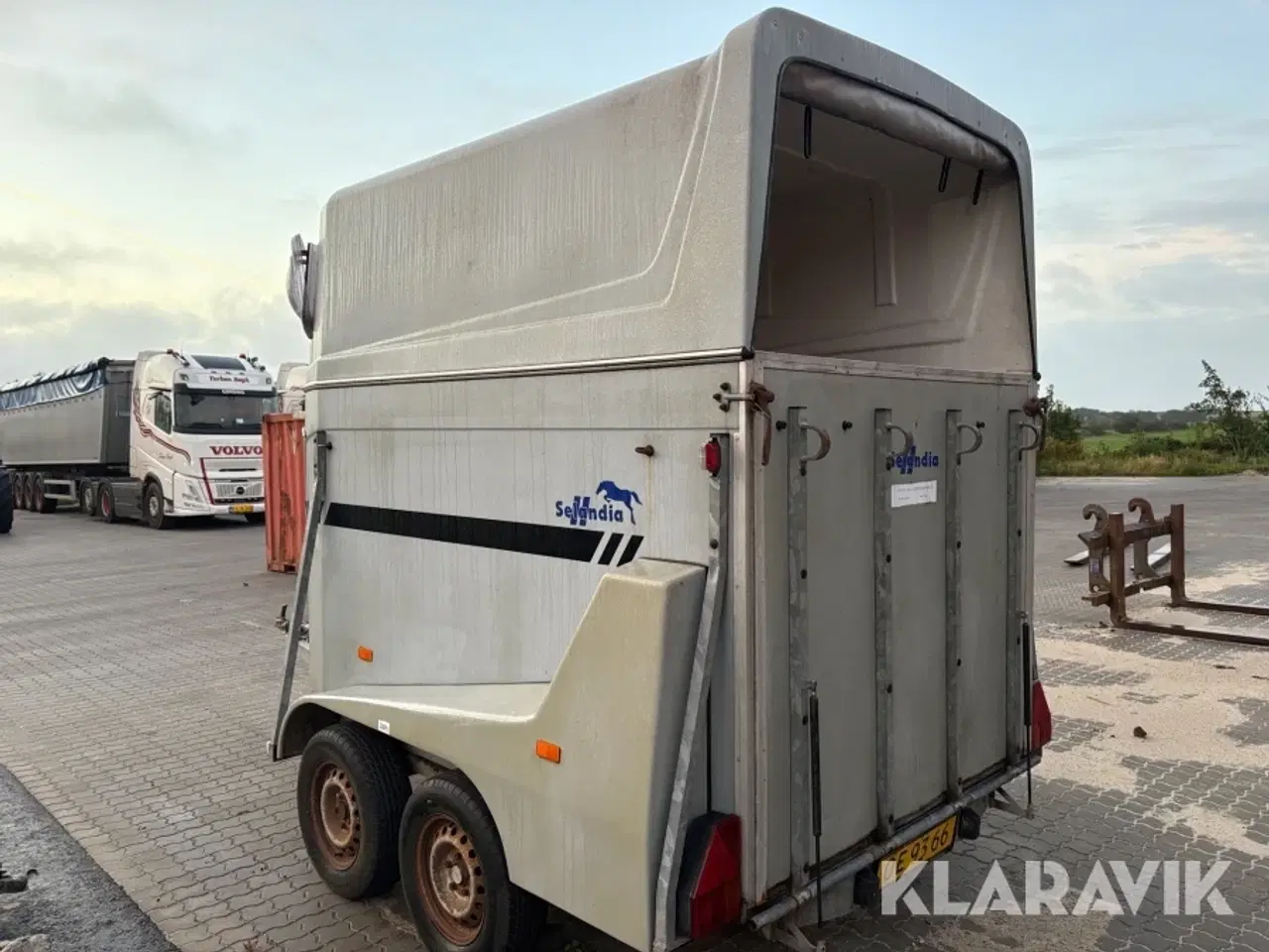 Billede 4 - Hestetrailer Marosselandia Big Star