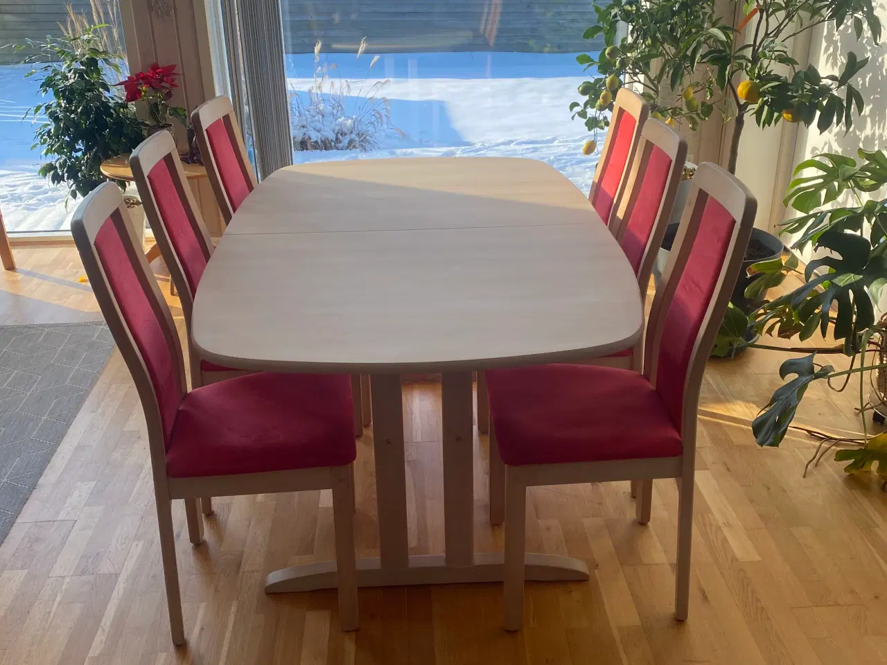 Billede 1 - Spisebord med stole i Bøg sæbe behandlet