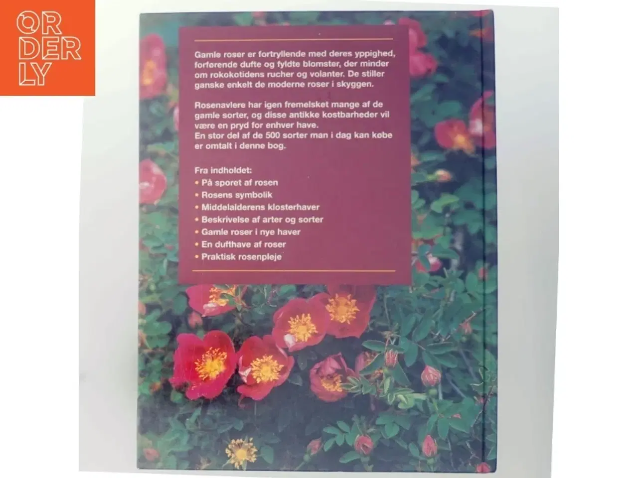 Billede 3 - Gammeldags Roser af Ilse Hger-Orthner (Bog)