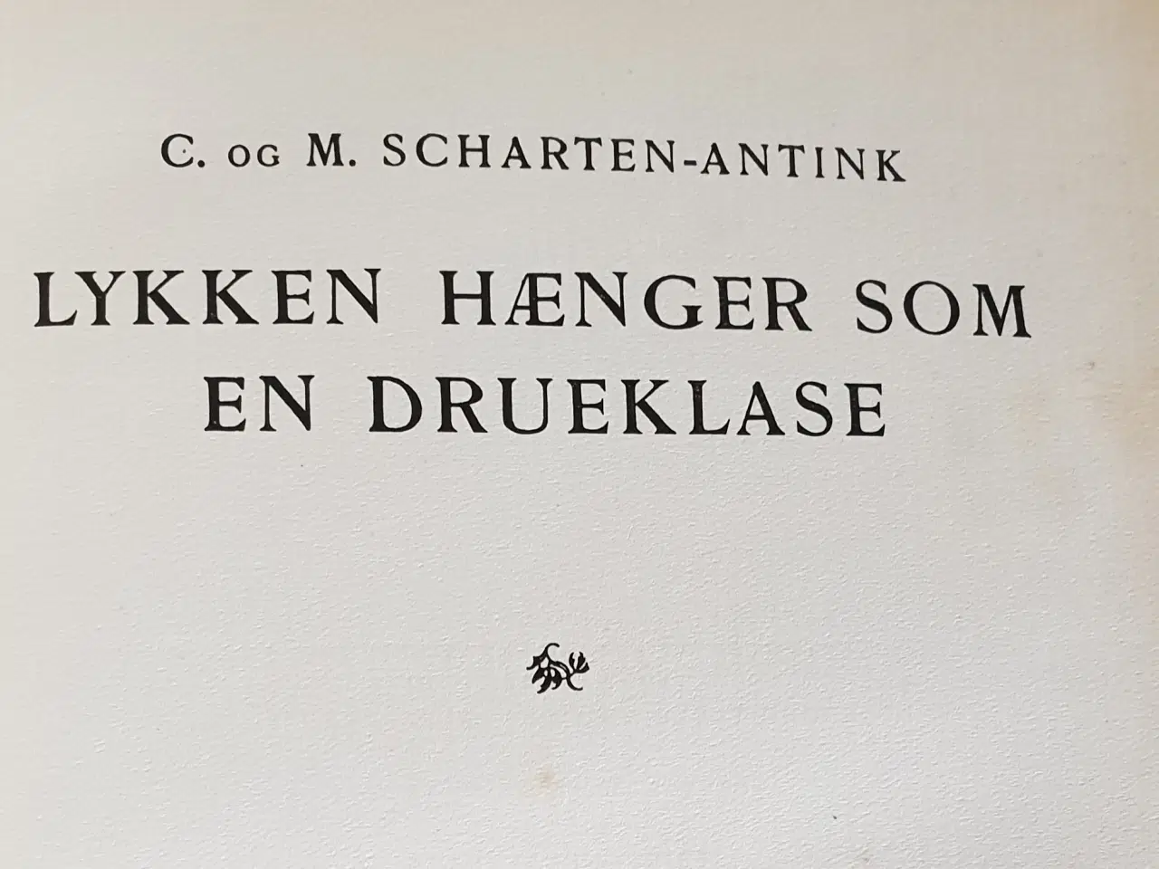 Billede 2 - Lykken hænger som en Drueklase