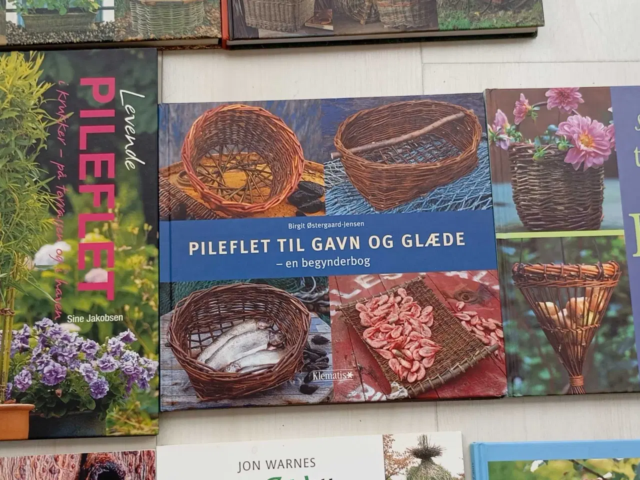 Billede 4 - Pileflet bøger for øvede og begyndere 