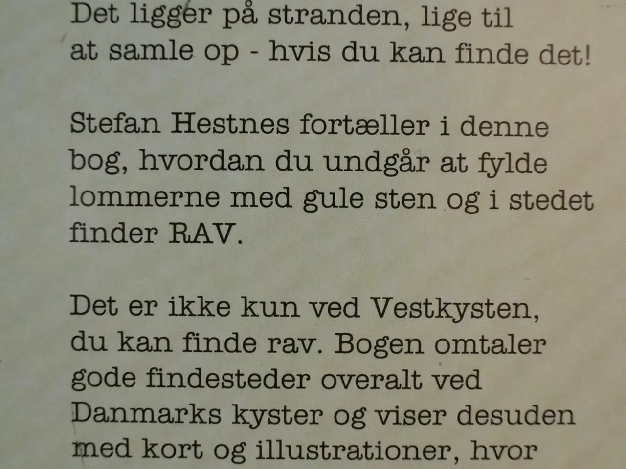 Billede 3 - rav - find det selv, af stefan hestnes, emne: ande