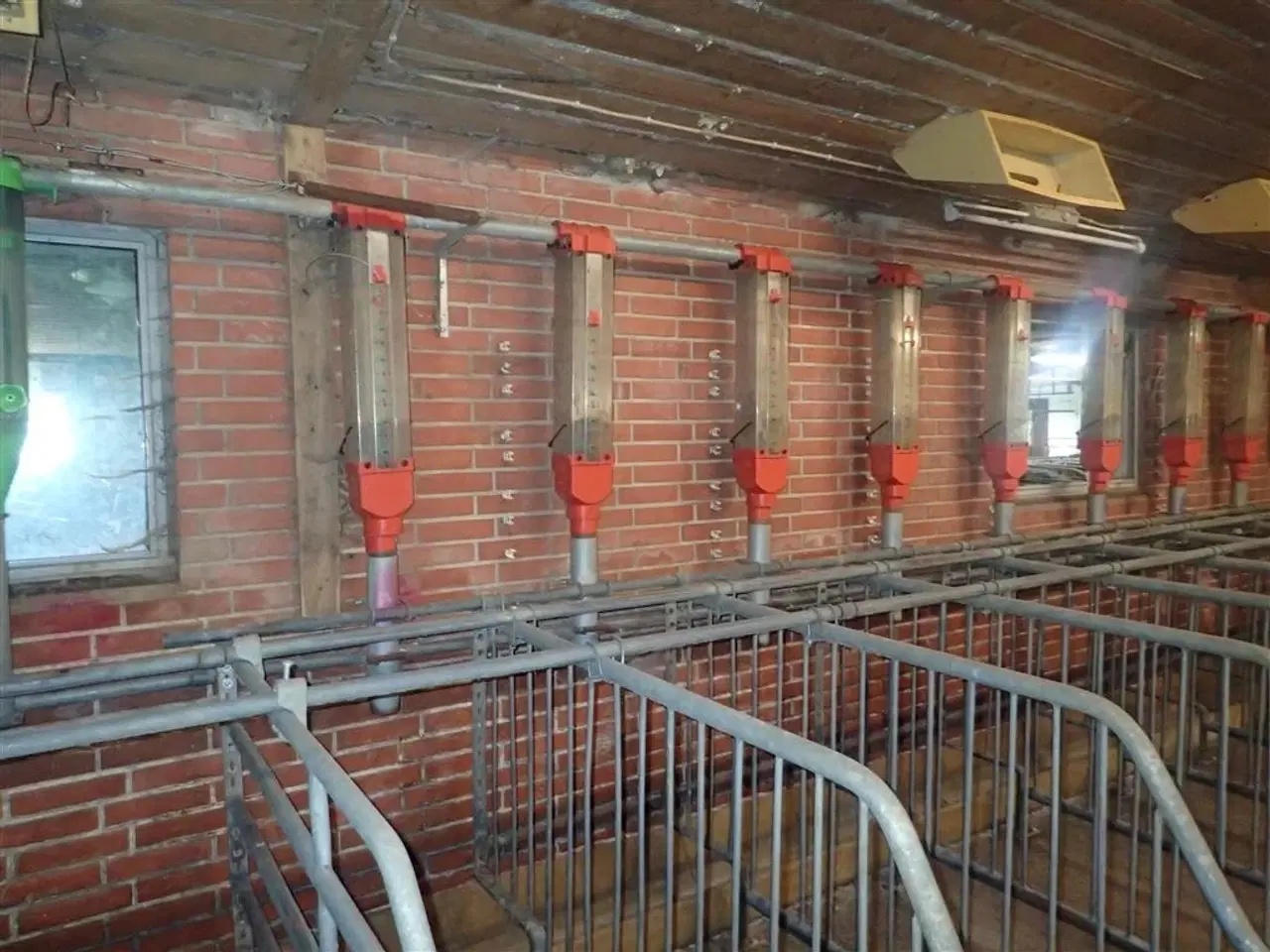 Billede 1 - Funki ca. 200 stk. røde   AFHENTNING UDEN BEREGNING