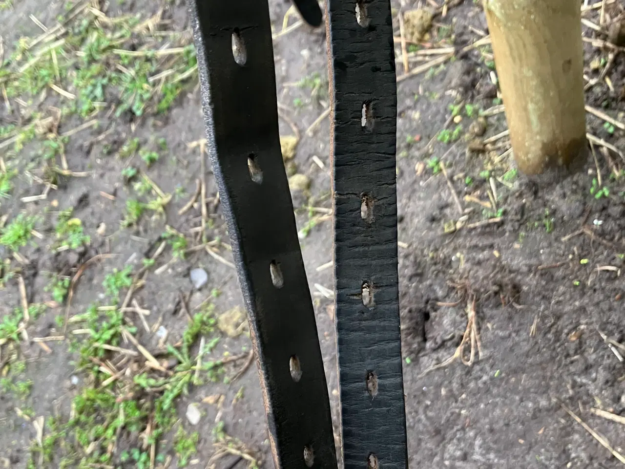 Billede 6 - Eques Kosmos 16” islænder/dressursadel