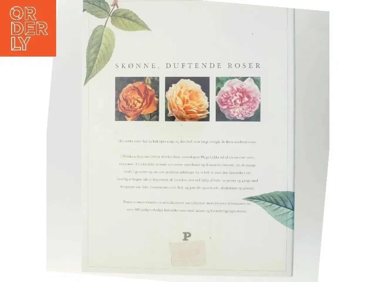 Billede 3 - Gamle Roser af Hugo Lykke (Bog)