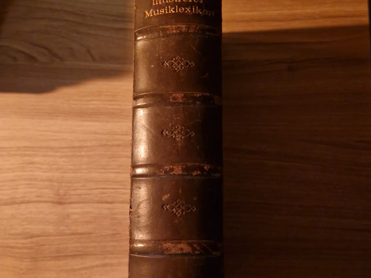 Billede 6 - Illustreret musikleksikon År 1924