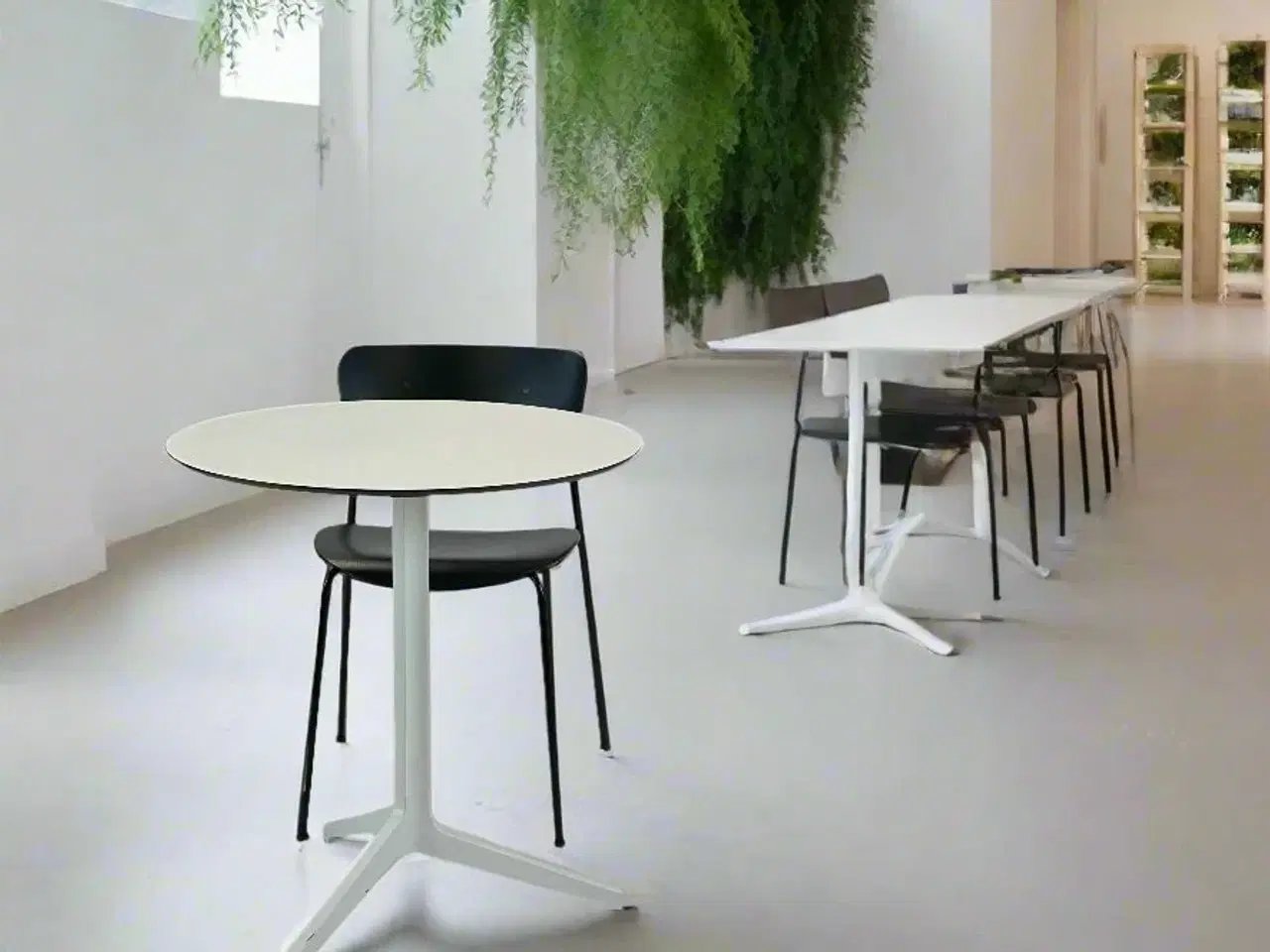 Billede 2 - Pedrali Rundt Bord Ø69