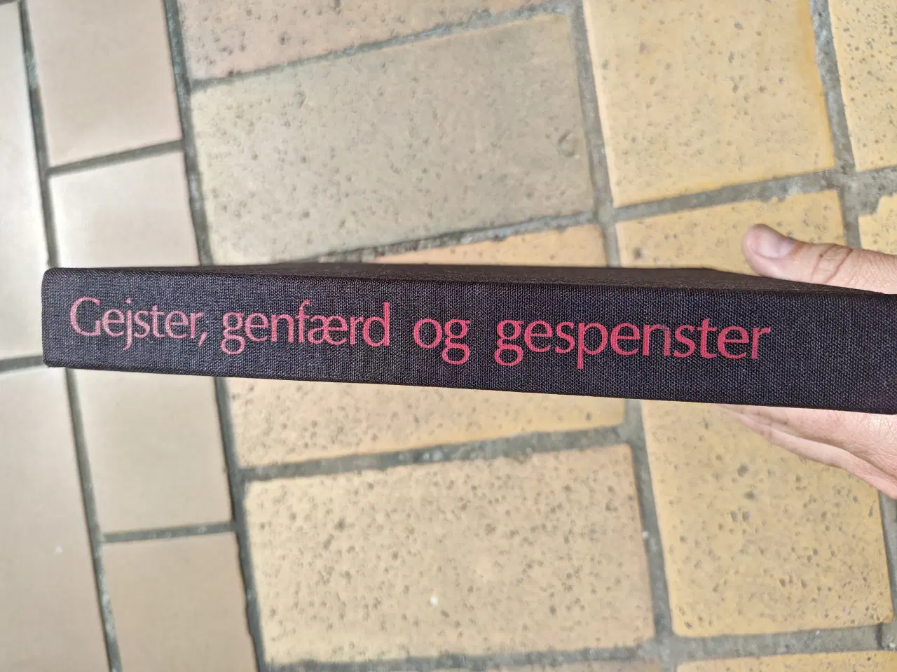 Billede 2 - Gejster, genfærd og gespenster Bog Gorm Benzon