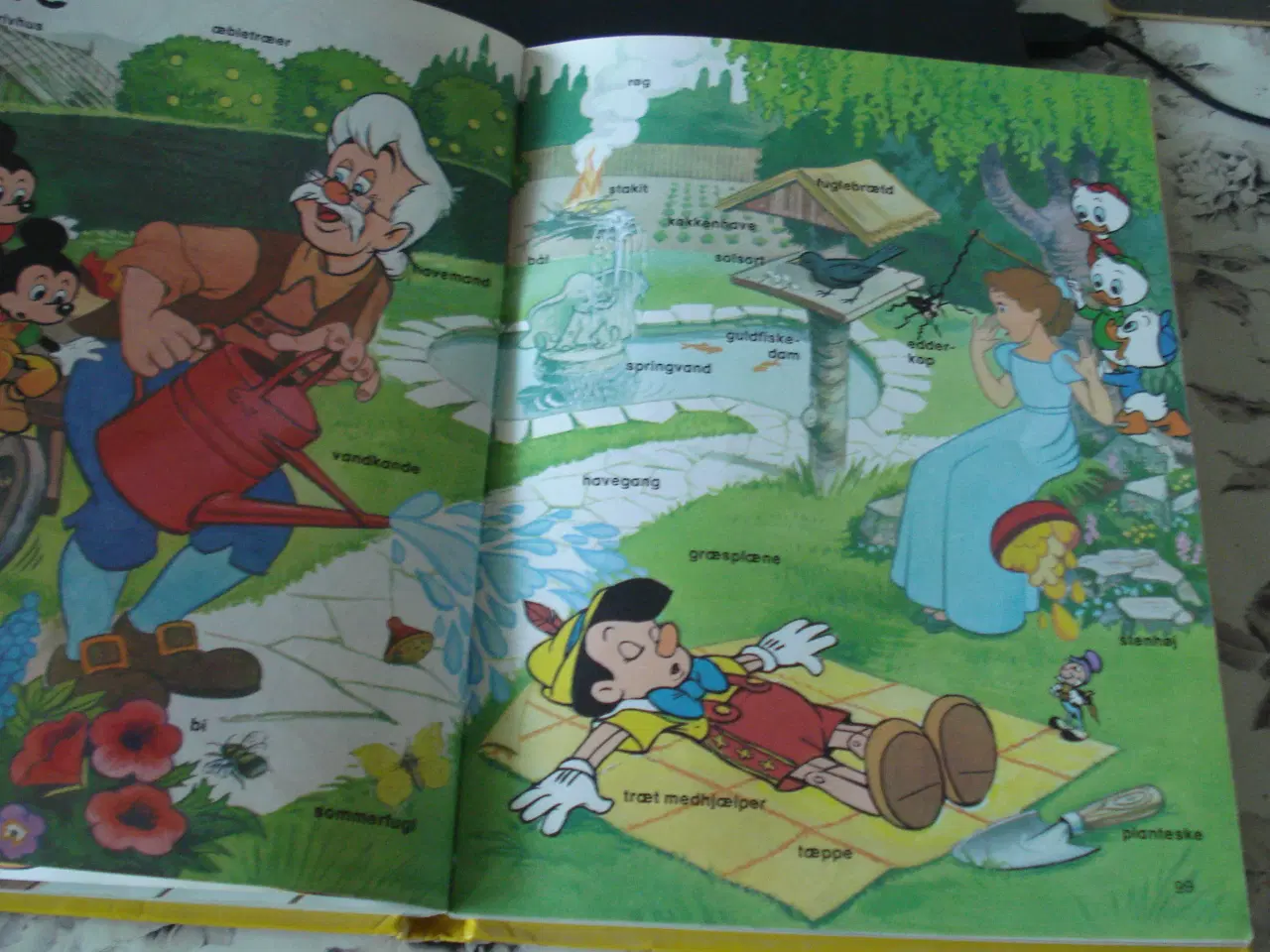 Billede 2 - Disney lærebog i navneord