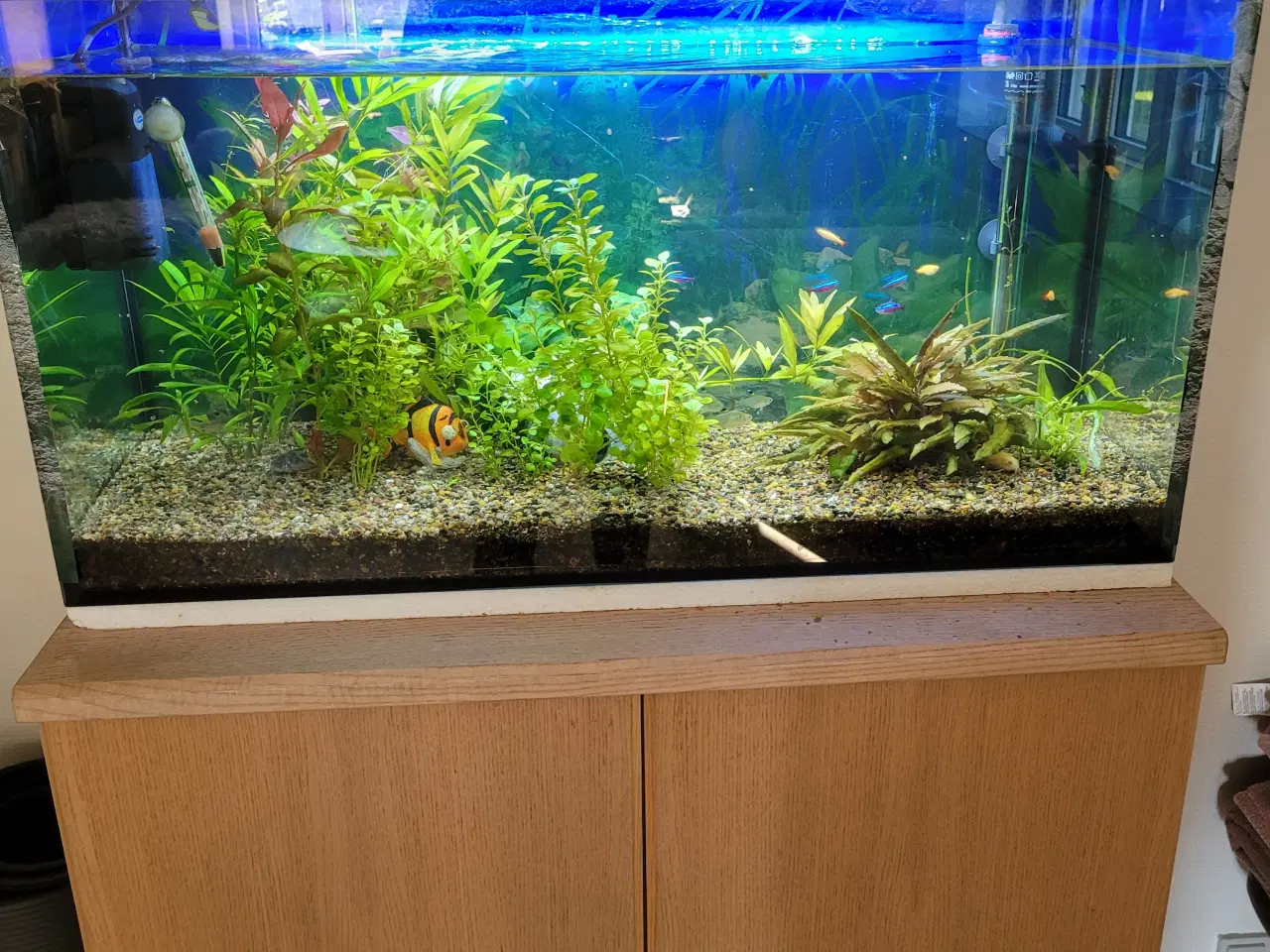 Billede 1 - Akvarie 100 l.