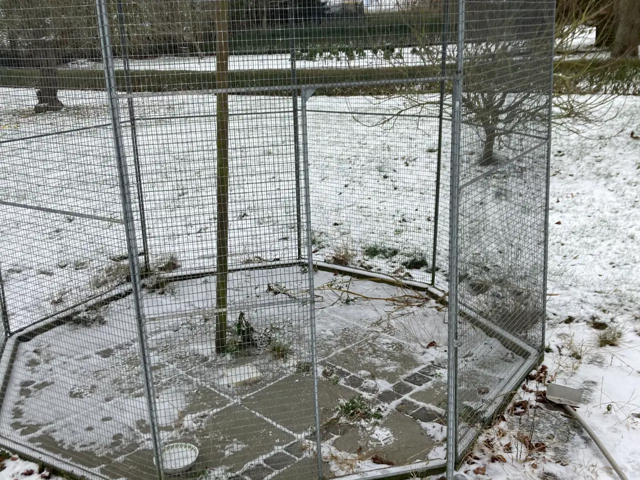 Billede 1 - Et stk 8 kantet Randers Volier komplet 4500krv88