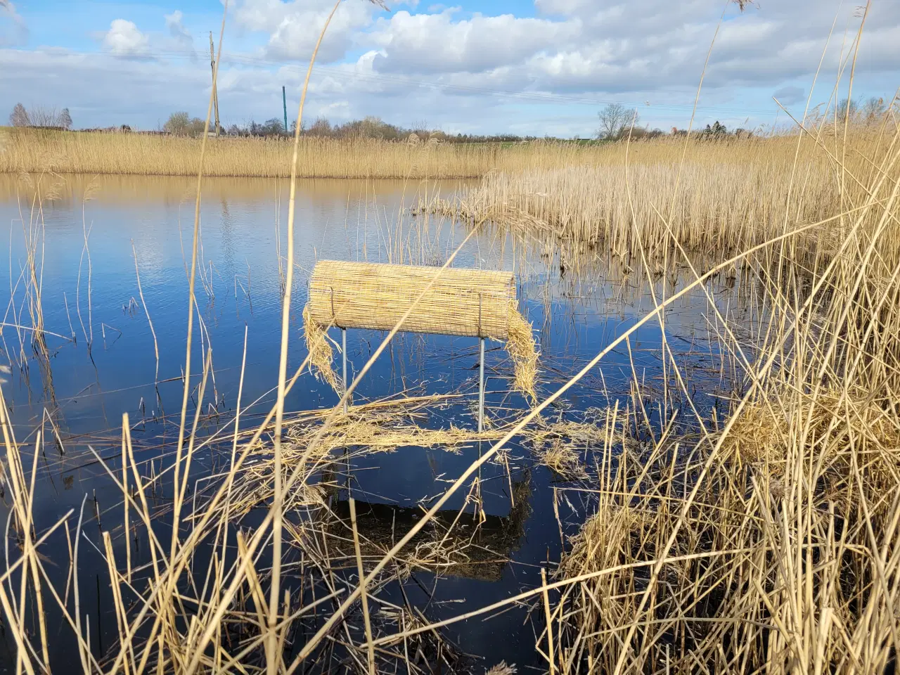 Billede 1 - Ducktube / Andehus