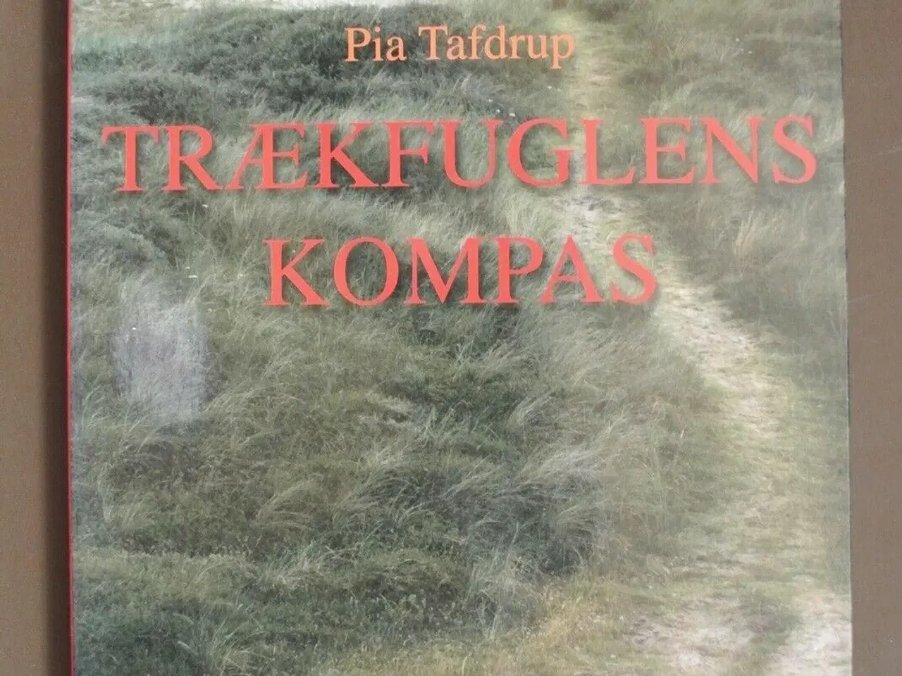 Billede 1 - trækfuglens kompas - digte, af pia tafdrup, genre: