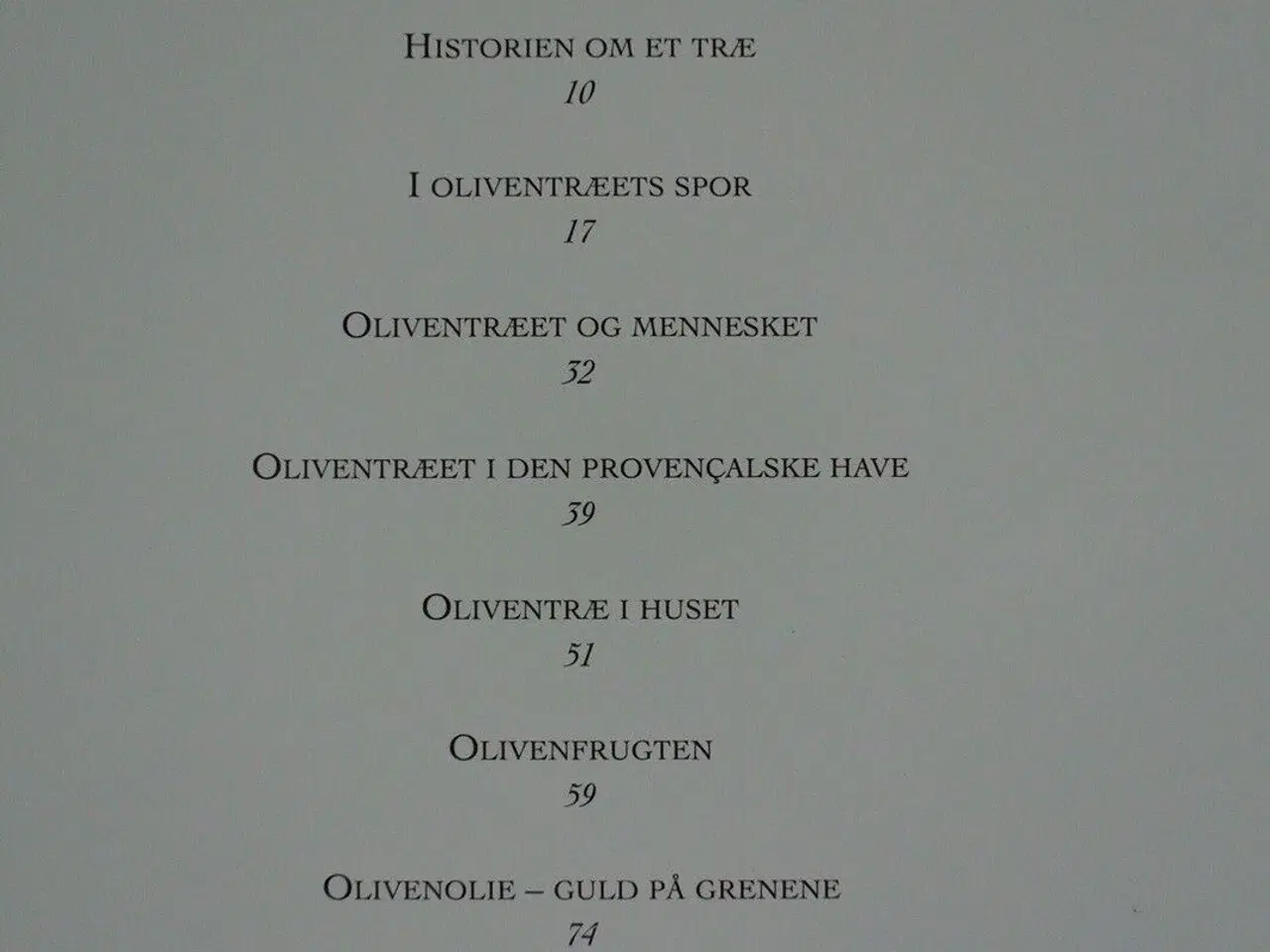 Billede 2 - oliven - træet, frugten og olien, af martine calai