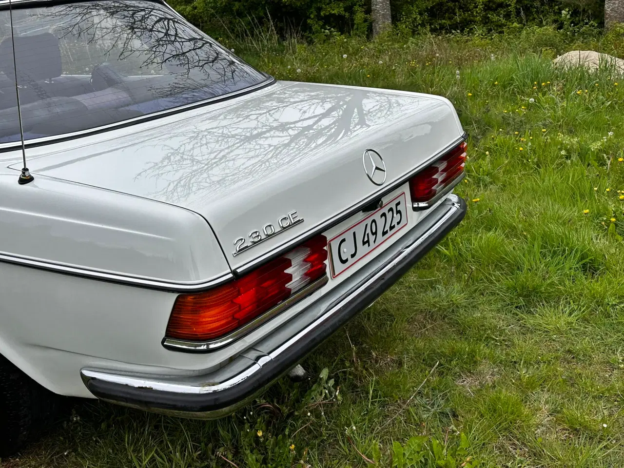 Billede 9 -  1980 Mercedes Daimler 230 CE 1980 KUN 180.000 KM 