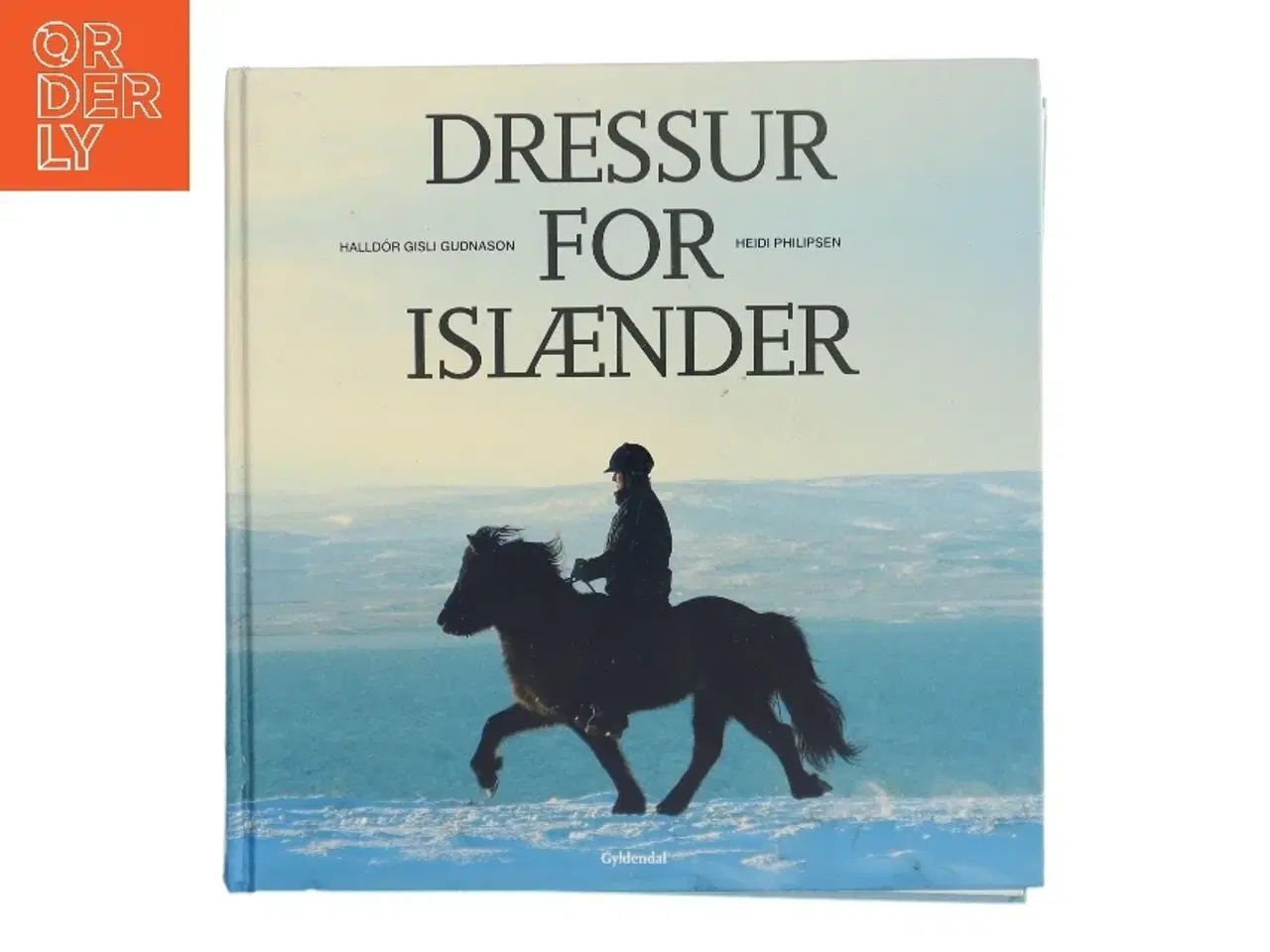 Billede 1 - Dressur for islænder : træningsmetoder i Danmark og Island af Heidi Philipsen (f. 1971-03-18) (Bog)