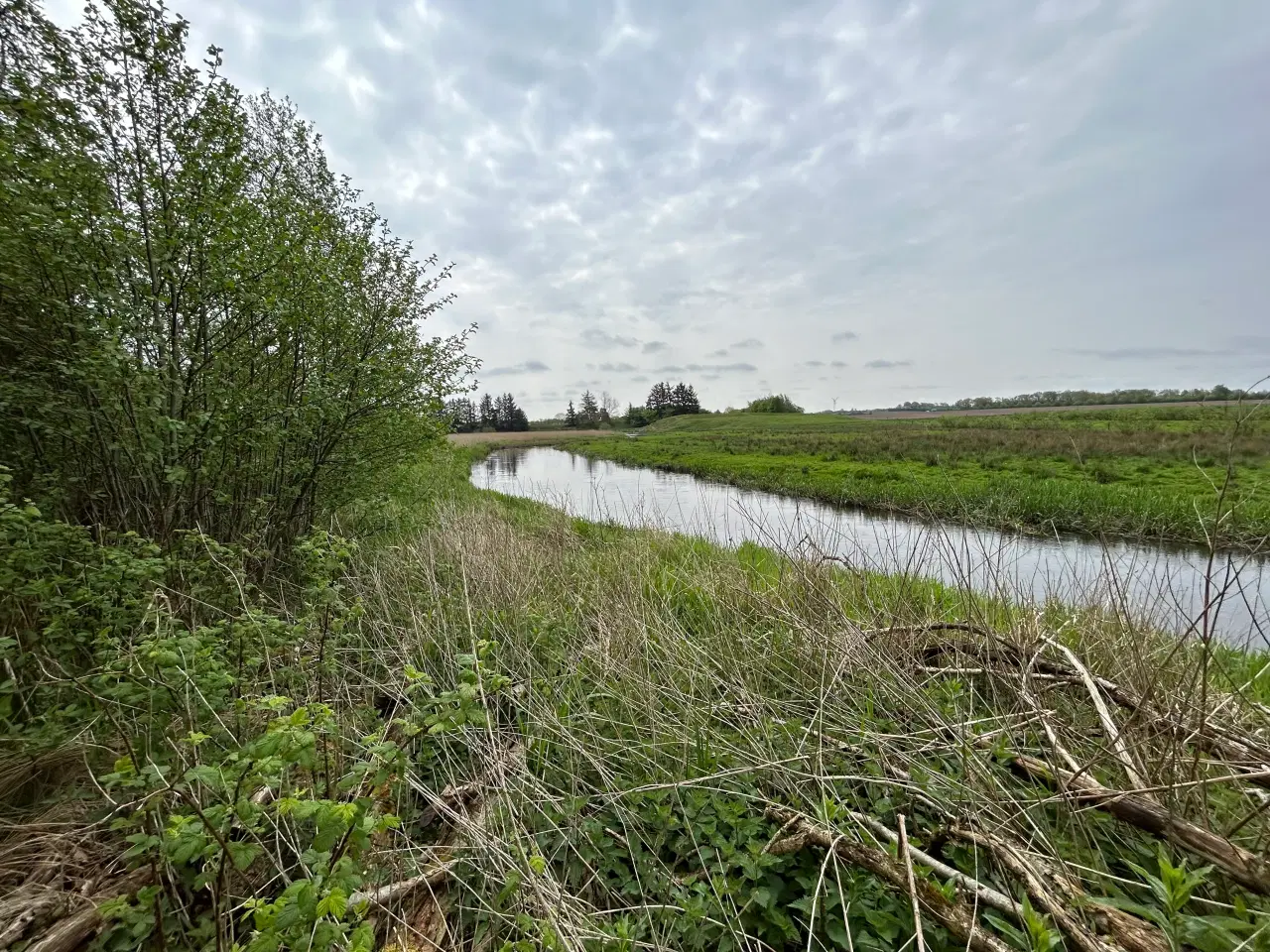 Billede 4 - 8 ha naturperle ved Kongeåen til jagt, fiskeri mv.