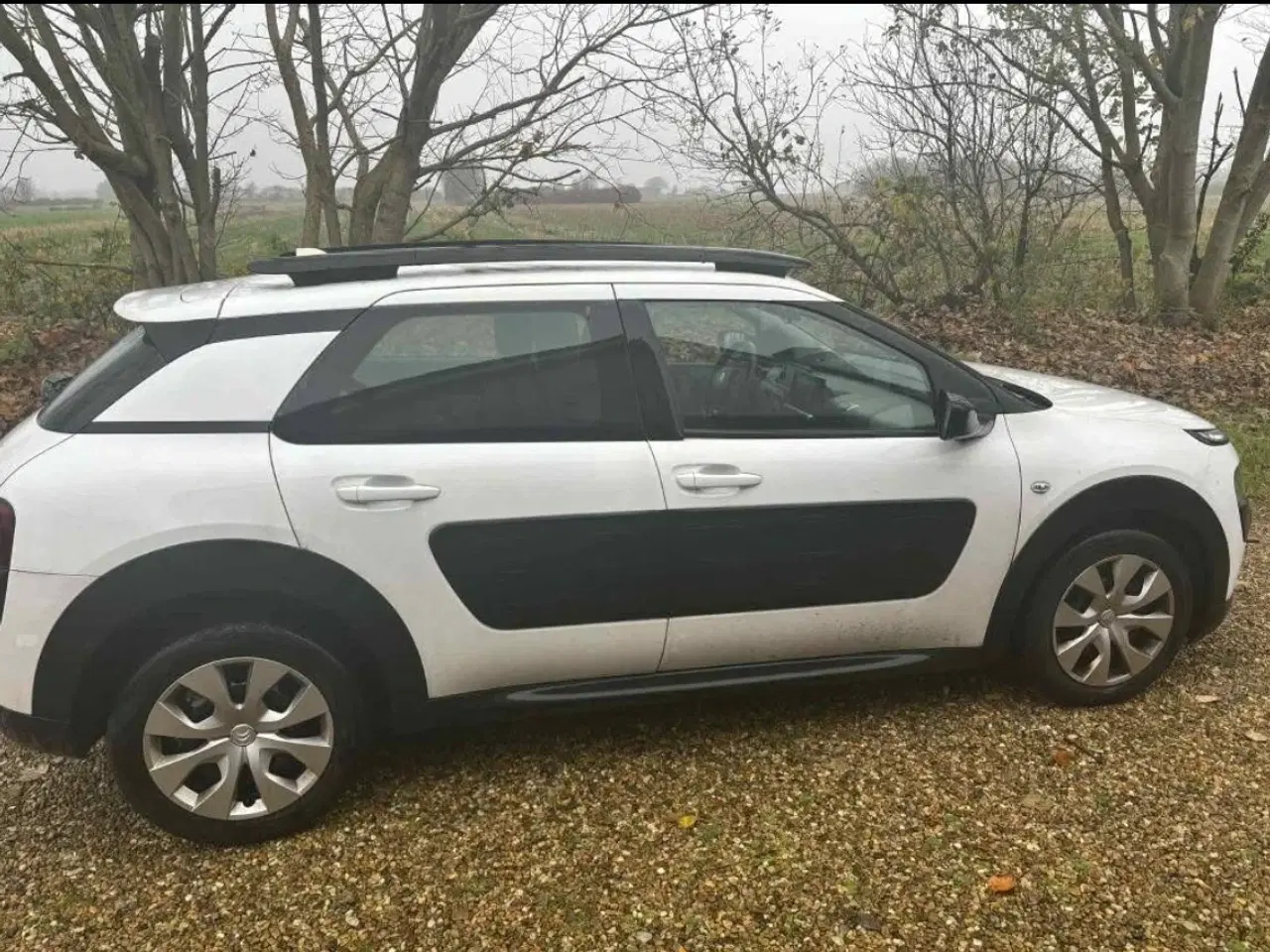 Billede 3 - Citroën C4 Cactus 1,6 BlueHDi 100 Feel ETG6