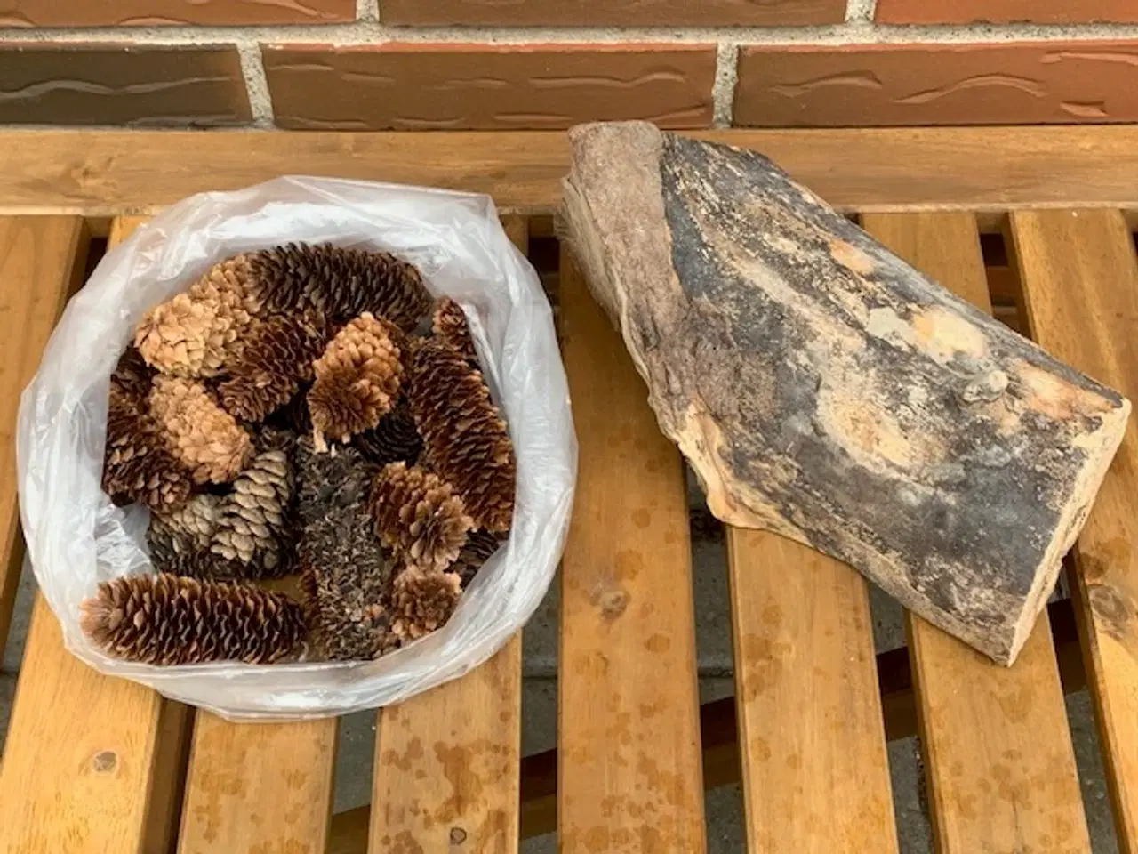 Billede 1 - Kogler træstub - urtepotteskjuler - naturkogle m.m