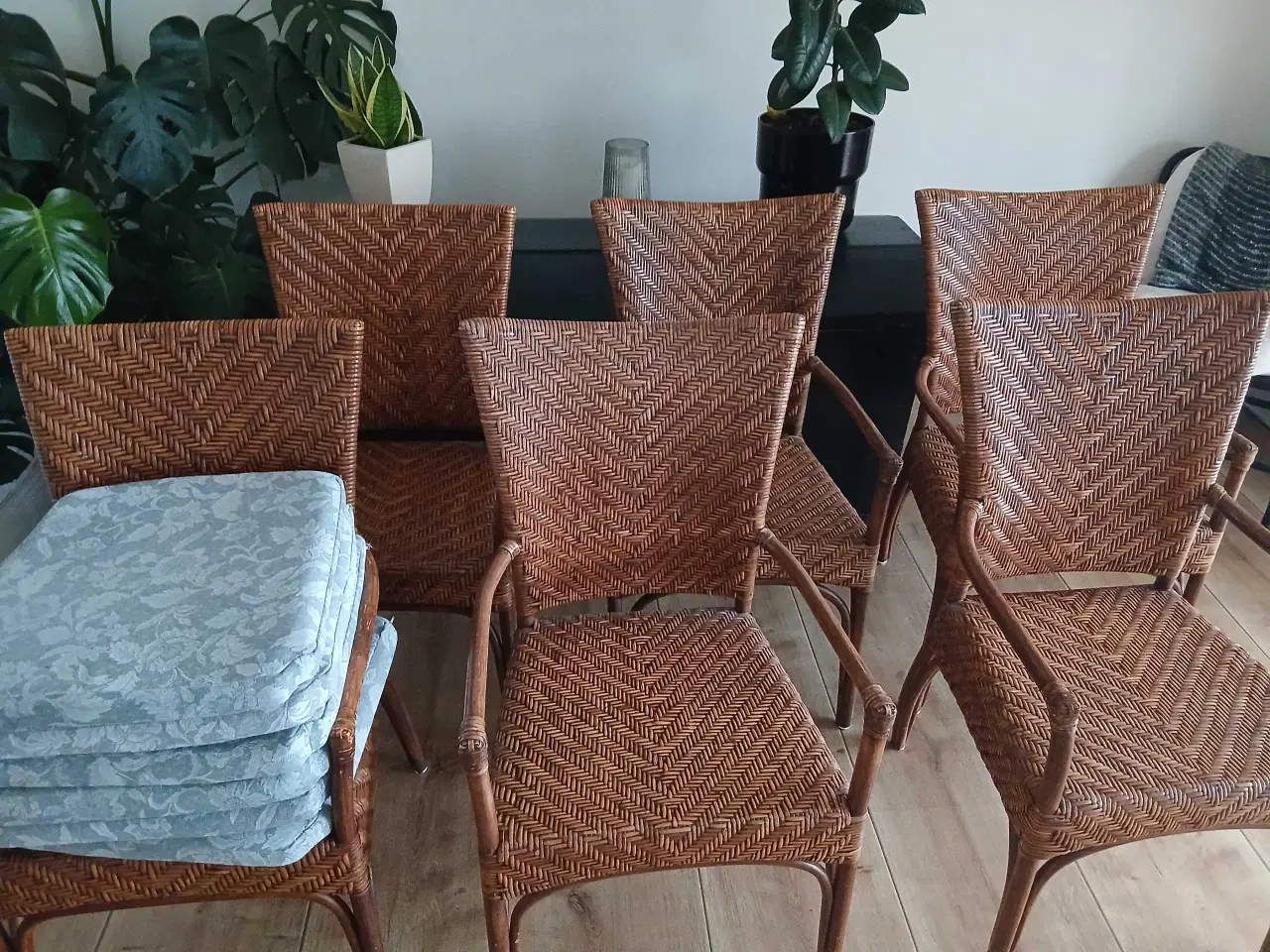 Billede 6 - Meget flotte spisebordsstole.