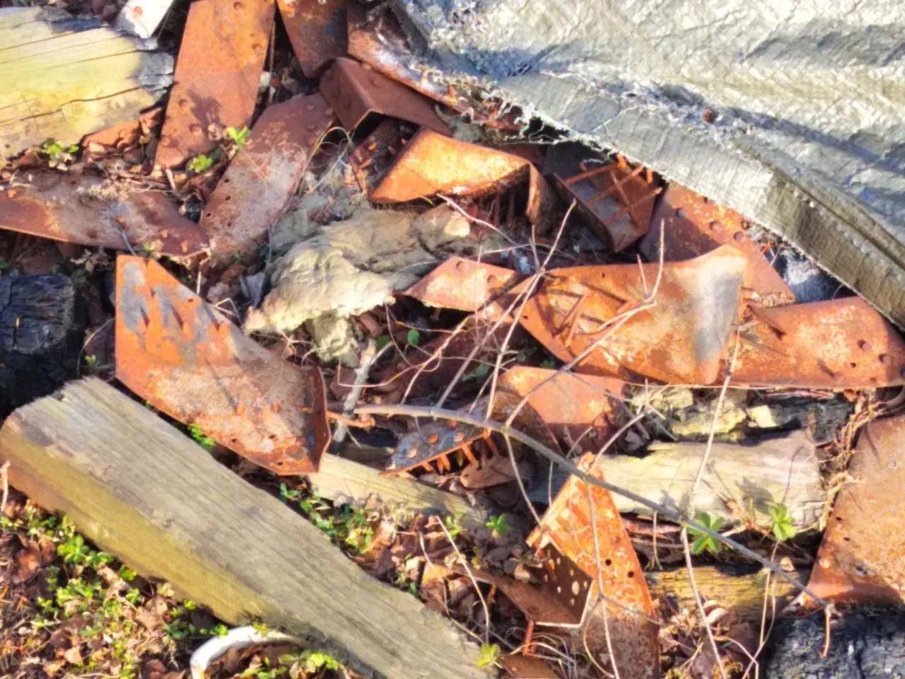 Billede 5 - Havemand søges 