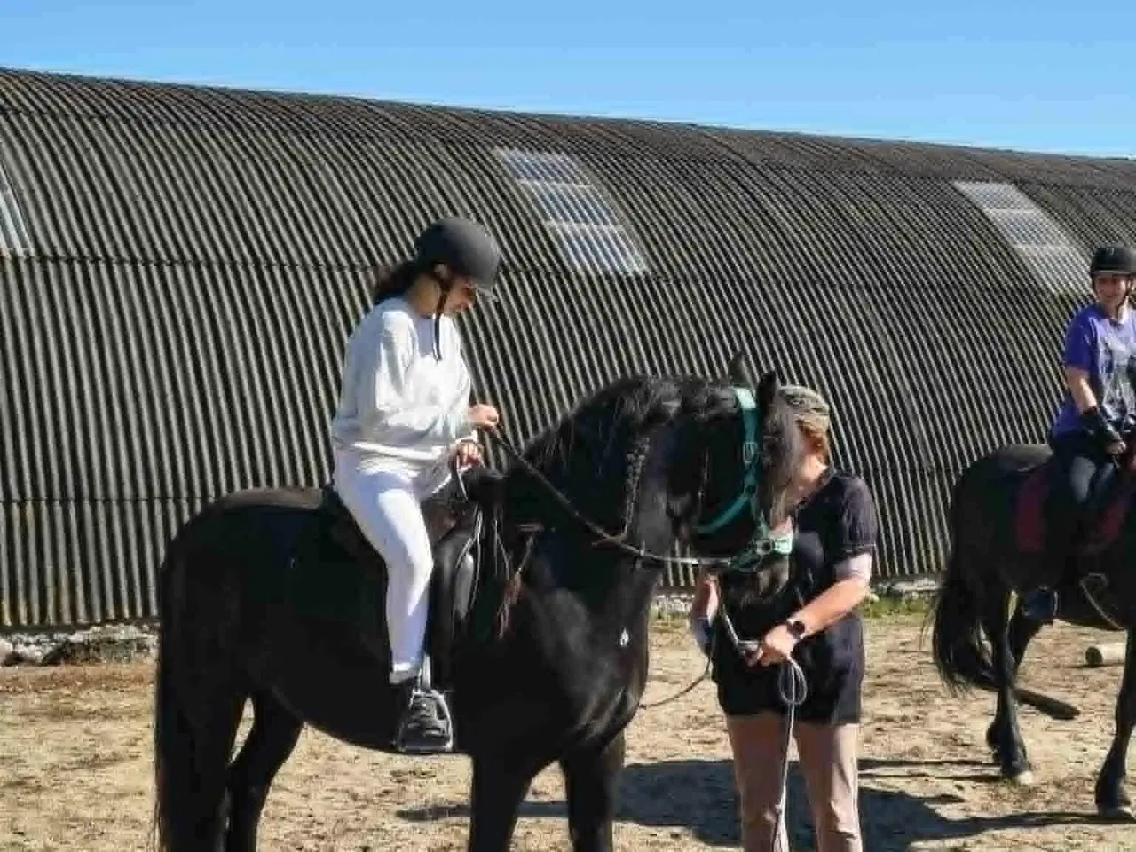 Billede 4 - Frieser/Irish Cob Vallak