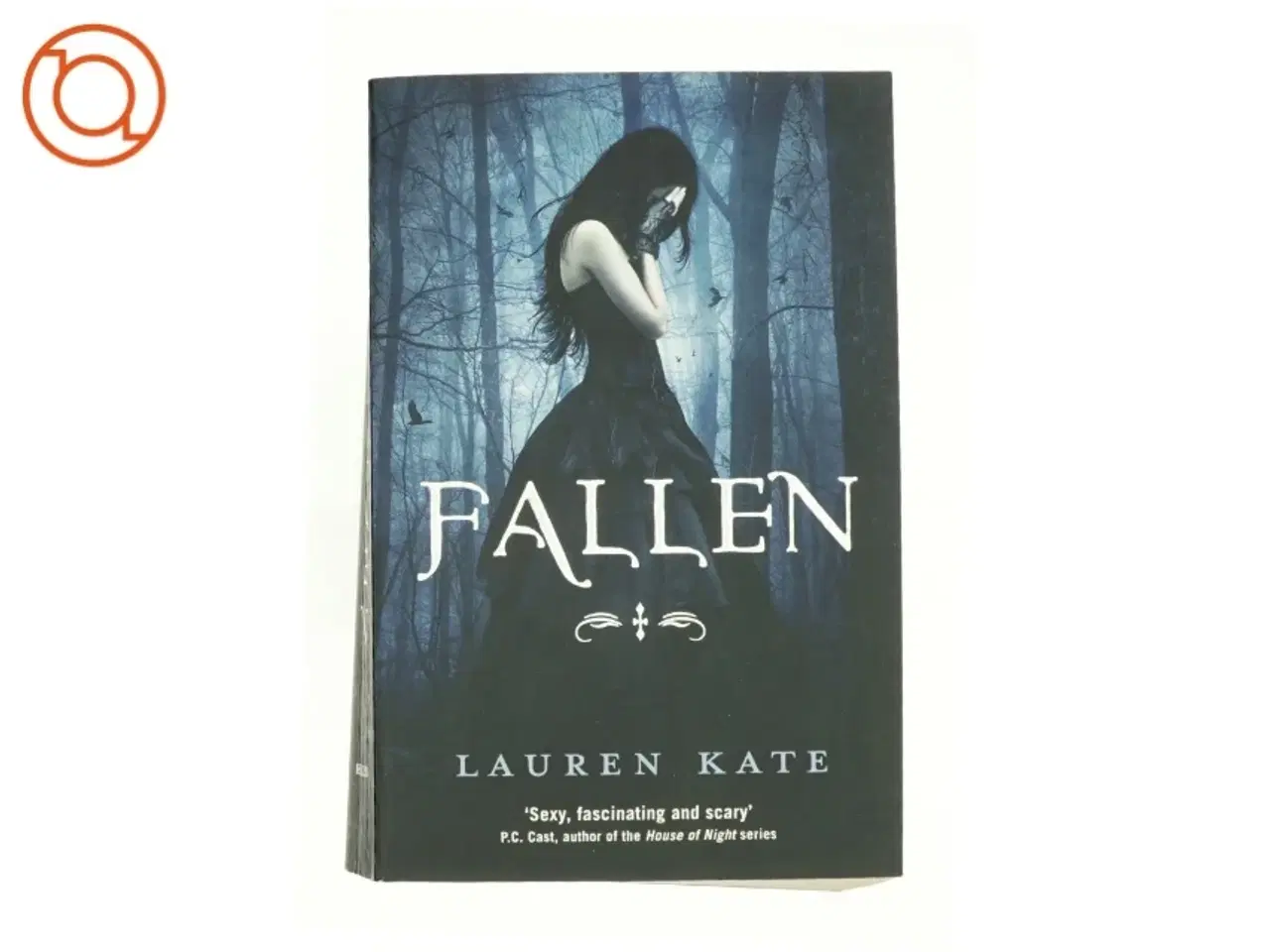 Billede 1 - Fallen af Lauren Kate (Bog)