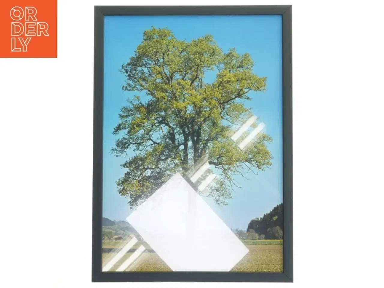 Billede 1 - Træbillede i ramme fra Posterland (str. 32x44 cm)