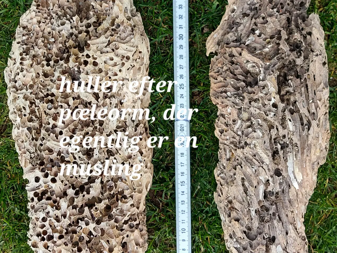 Billede 7 - drivtømmer - træ -dekoration - kunst